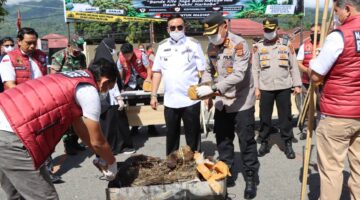 Polres Agara Musnahkan Narkotika Hasil Pengungkapan Kasus, Bupati Apresiasi Kinerja Polres Aceh Tenggara